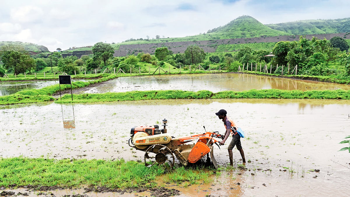Average rainfall deficit figures conceal more than they reveal