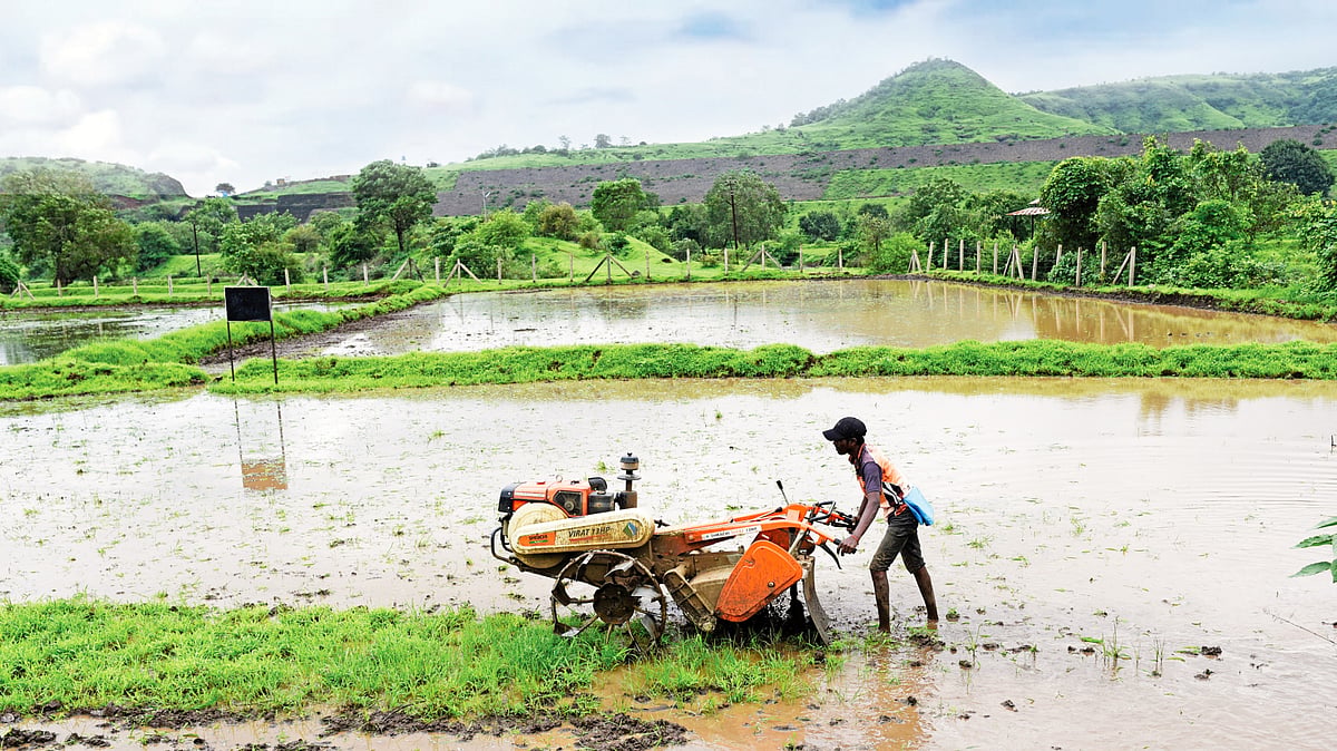 Average rainfall deficit figures conceal more than they reveal