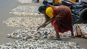 India supports restrictions on the most harmful fishing practices.