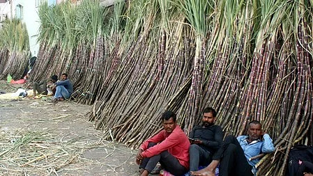 Nearly Rs 40,000 crore invested in ethanol manufacturing could be at risk.