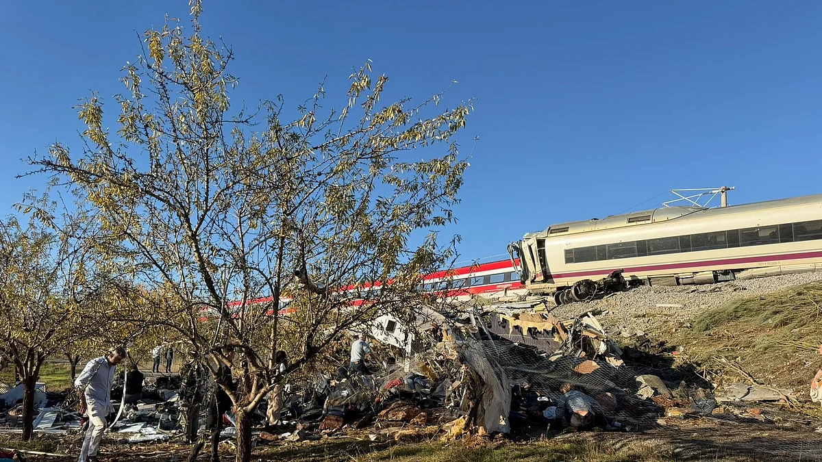 Two carriages of the Iryo train derailed following the impact.