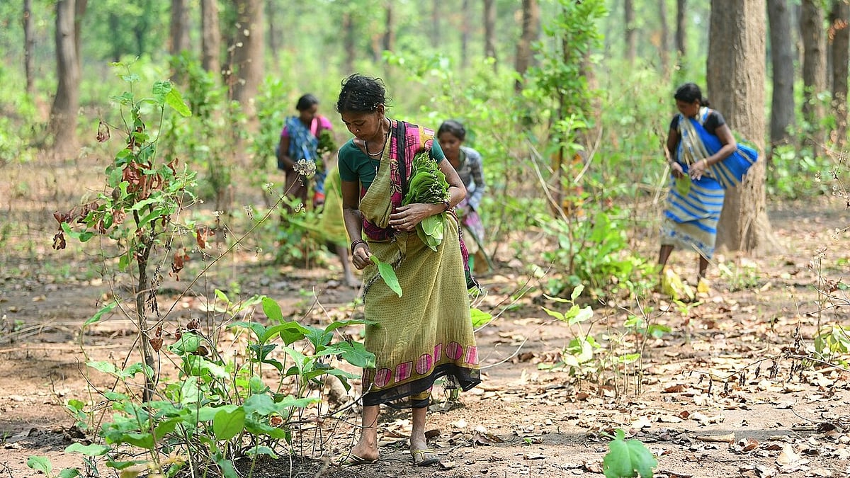 Chhattisgarh forest authorities launch large-scale community-led water ...