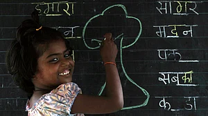 हिंदी दिवस पर विशेष: एक सफल ‘सर्वाइवर’ साबित हुई है हिंदी