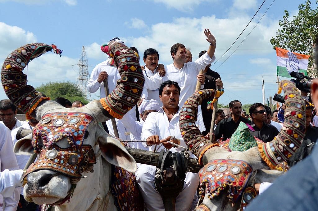 
















गुजरात में बैलगाड़ी पर बैठकर राहुल गांधी ने की चुनावी अभियान की शुरुआत 