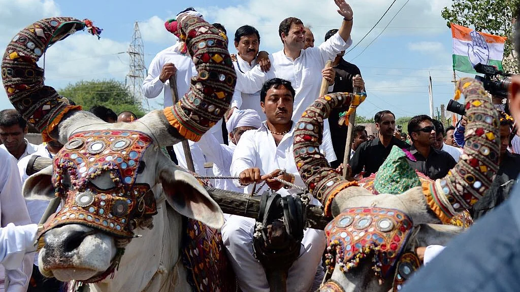 बैलगाड़ी पर कांग्रेस उपाध्यक्ष राहुल गांधी/ फोटो: Twitter 