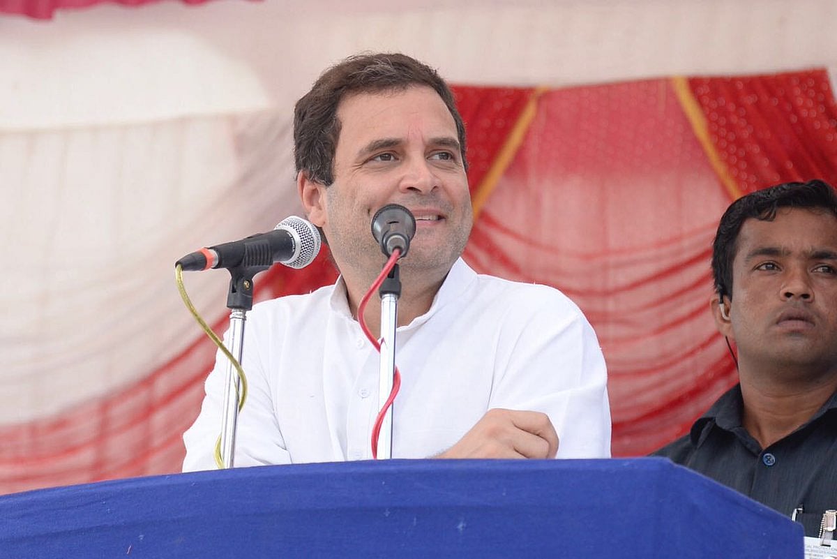 ‘विकास पागल हो गया है’: राहुल गांधी