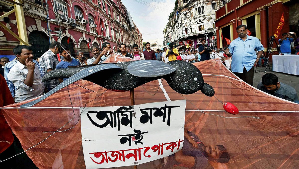 देश के रंग तस्वीरों में...