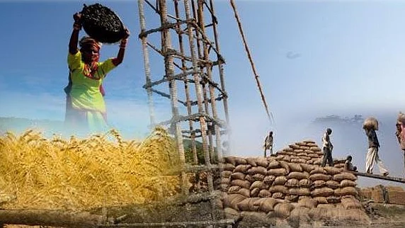 फोटो : सोशल मीडिया