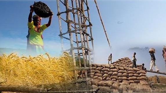 फोटो : सोशल मीडिया