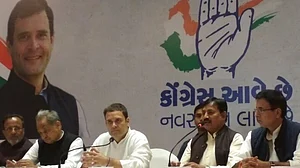 मैं जिस भी मंदिर में गया, मैंने गुजरात के युवाओं के लिए अच्छे भविष्य की कामना की: राहुल गांधी