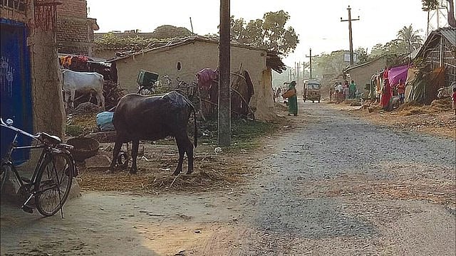 फोटो: नवजीवन