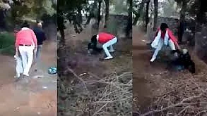 फोटो : सोशल मीडिया