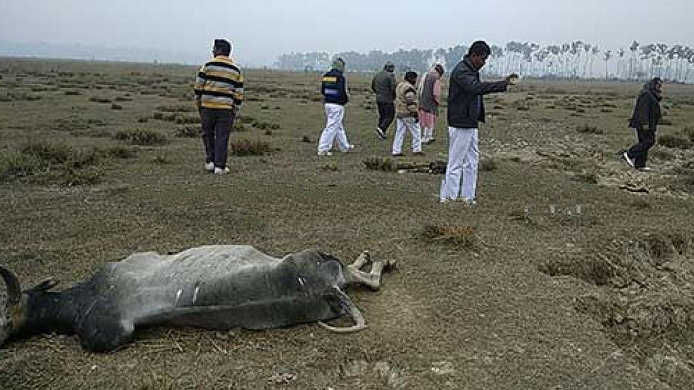 फोटो : सौजन्य डाइनामाइट न्यूज