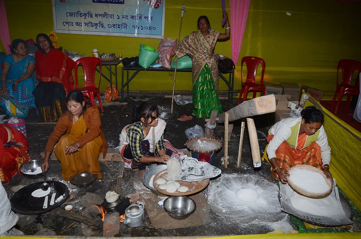 जंगल में सुस्ताता टाइगर और बंजर पेड़ की शाख पर बॉल्ड ईगल: 10 जनवरी की कुछ खास तस्वीरें आपके लिए