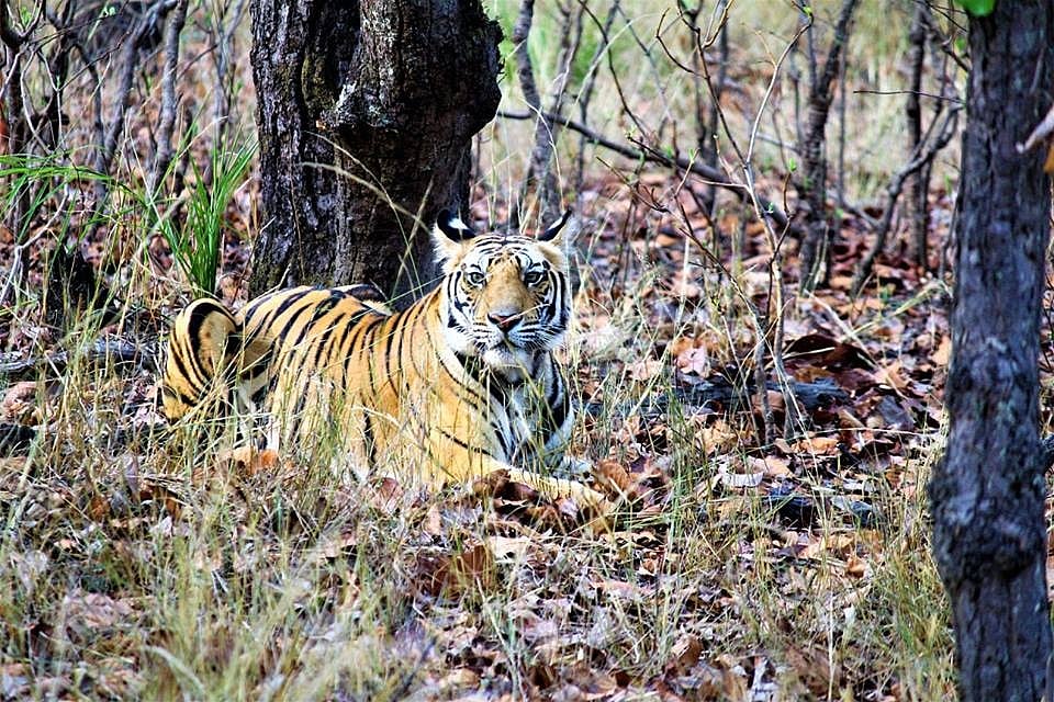 Photo: Kushagra Dixit/IANS