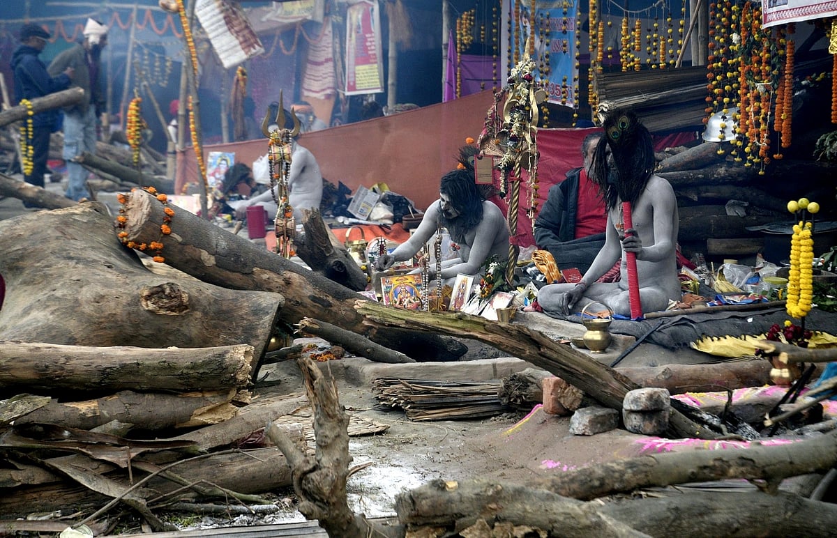 जंगल में सुस्ताता टाइगर और बंजर पेड़ की शाख पर बॉल्ड ईगल: 10 जनवरी की कुछ खास तस्वीरें आपके लिए