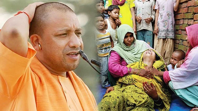 फोटो : सोशल मीडिया