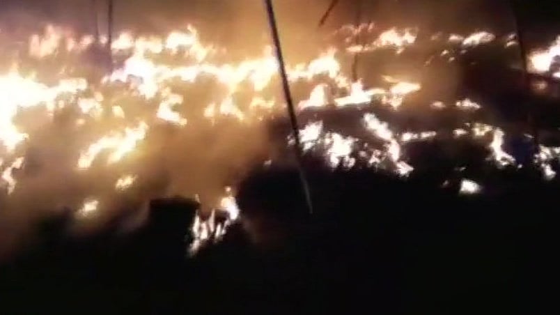 फोटो: सोशल मीडिया 