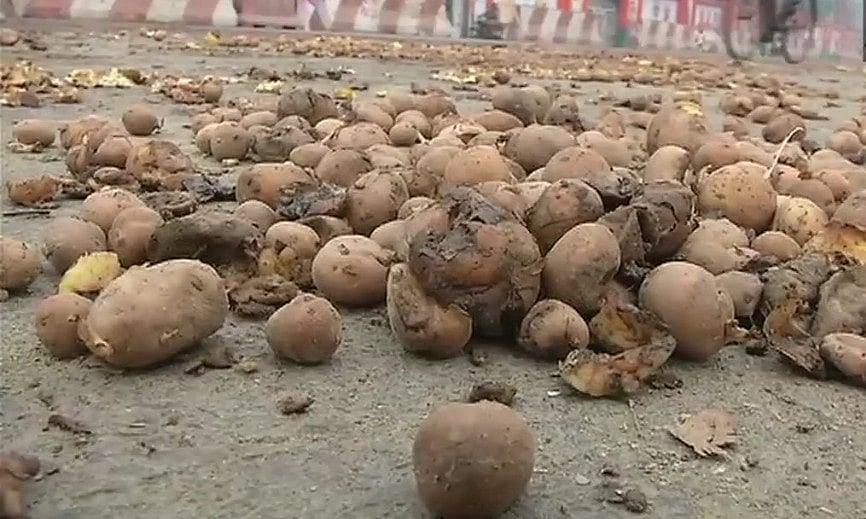 फोटो: सोशल मीडिया&nbsp;
