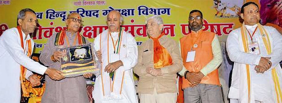तोगड़िया की पीएम को चेतावनी: मोटा भाई, गौरक्षा कानून लाओ, वर्ना हटने के लिए तैयार हो जाओ