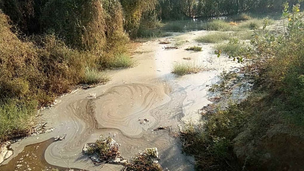 फोटो : सोशल मीडिया