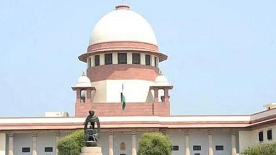 फोटो: सोशल मीडिया&nbsp;