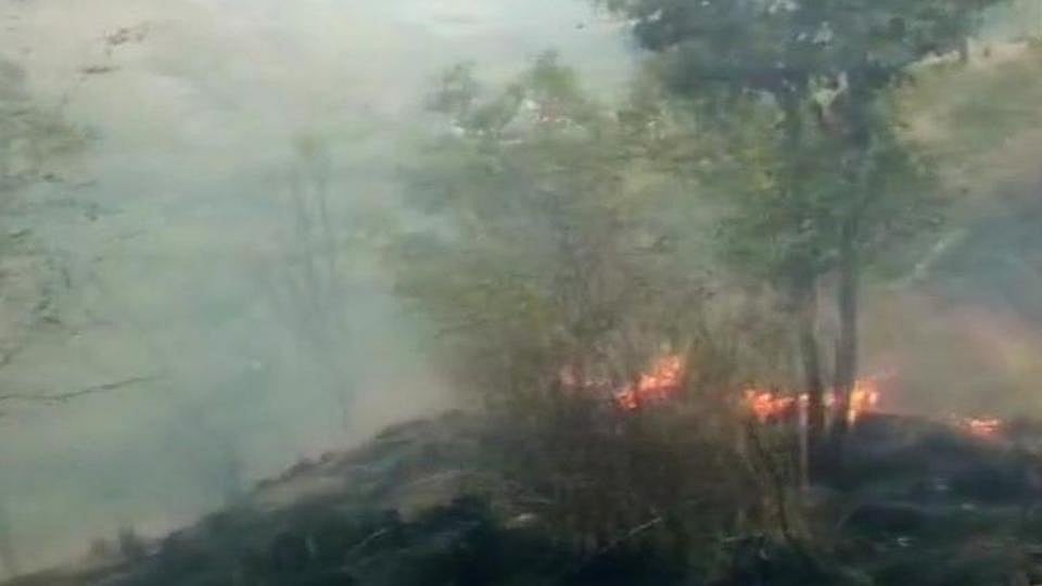 तमिलनाडु: थेनी के जंगलों में आग का तांडव, अब तक 9 की मौत, 27 लोग बचाए गए