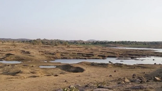 फोटो: सोशल मीडिया 