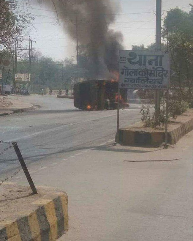 फोटो: सोशल मीडिया