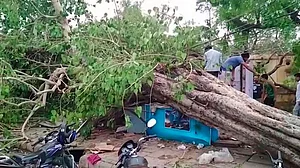 आने वाले कुछ घंटों में देश के कई हिस्सों में फिर से आंधी-तूफान की संभावना, अब तक 100 से ज्यादा लोगों की मौत