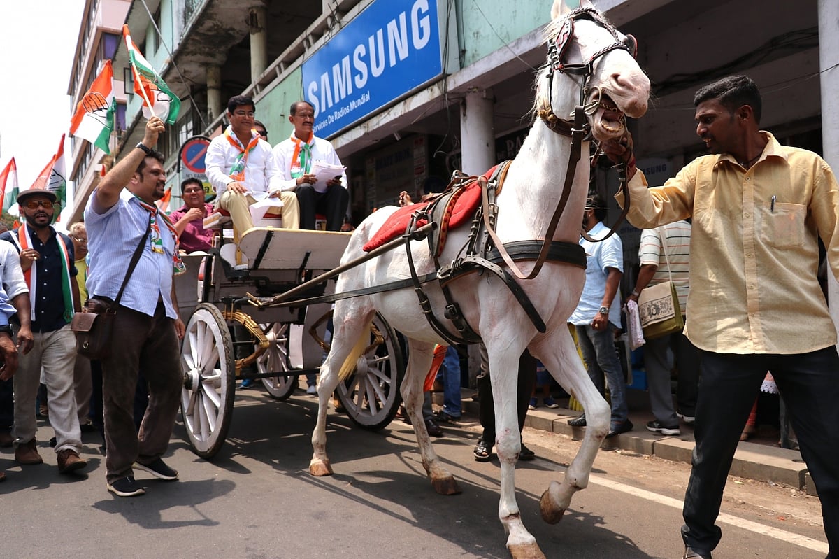 तालाब में डुबकी लगाकर गर्मी भगाता टाइगर