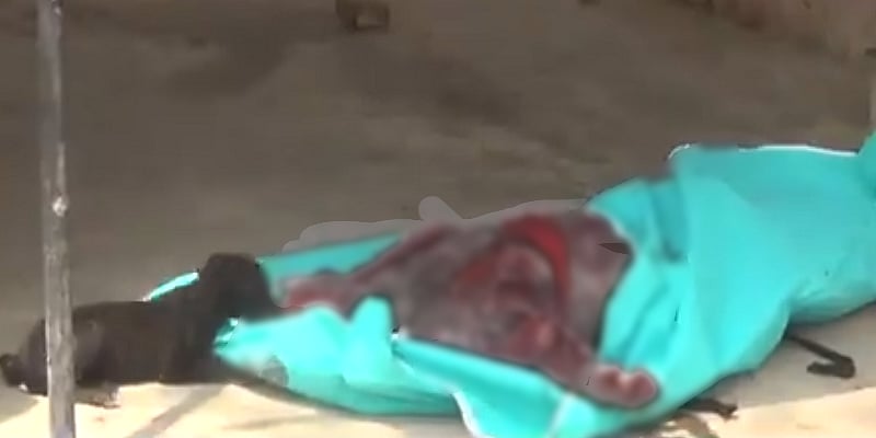 यूपी: बूचड़खाने बंद होने से नरभक्षक बने  कुत्ते, 3 बच्चों की मौत पर  लोगों ने 13 कुत्तों को उतारा मौत के घाट 