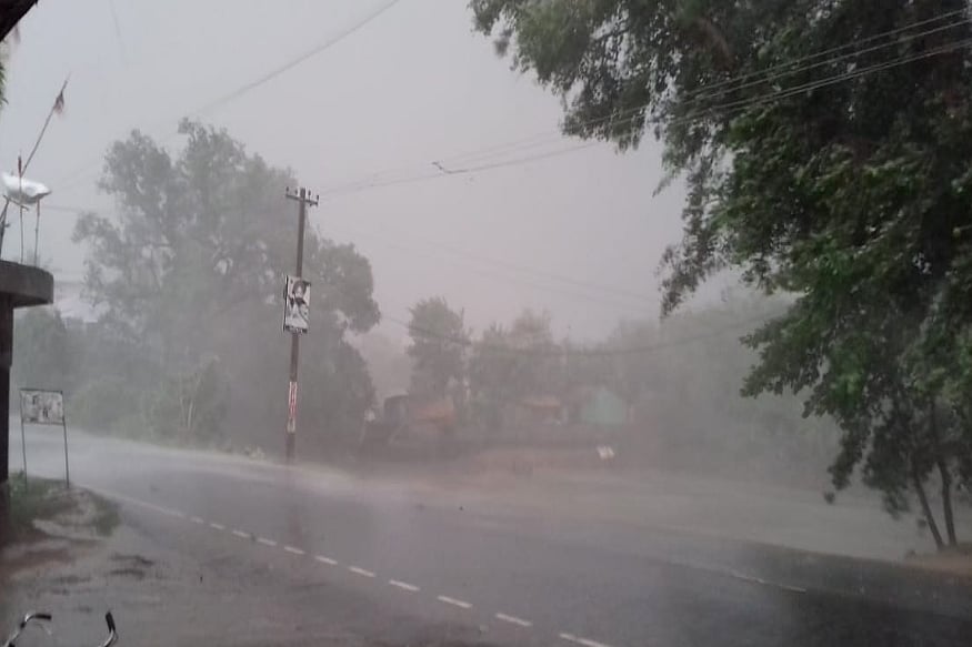 फोटो: सोशल मीडिया&nbsp;
