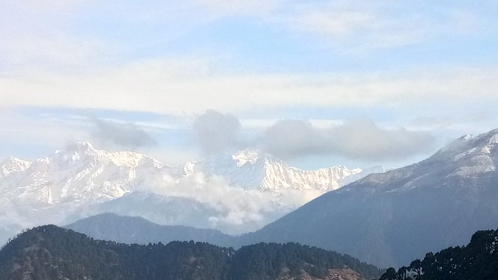 फोटो: सोशल मीडिया