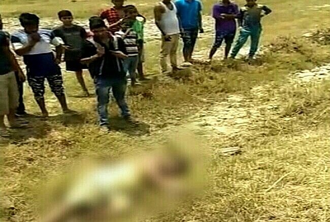 वह बीमार था, ब्लड प्रेशर का मरीज था, पानी के लिए तड़प रहा था, लेकिन उग्र भीड़ ने वहीं पैदा कर दिया एक और दादरी