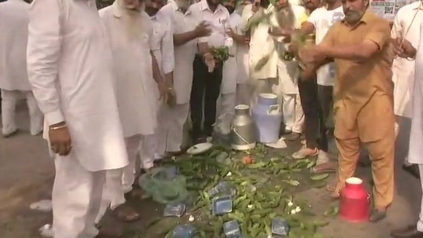 फोटो: सोशल मीडिया 