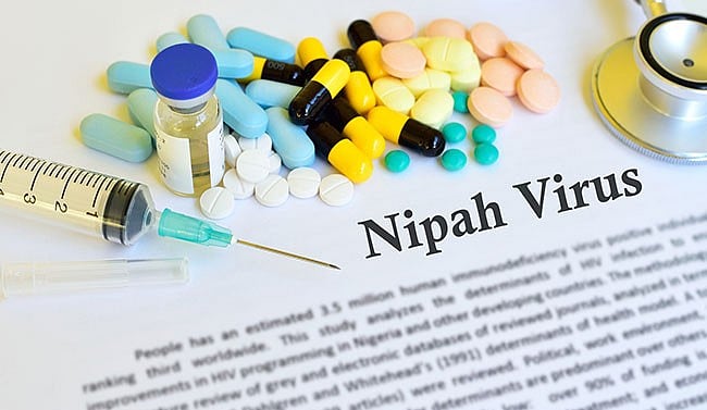 निपाह वायरस का खौफ: बहरीन के बाद सऊदी अरब ने केरल से आने वाले फलों-सब्जियों पर  लगाया प्रतिबंध