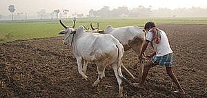शिवराज सरकार में दबंगों का कहर, पत्नी के सामने दलित किसान को जिंदा जलाकर मार डाला, गांव में तनाव 