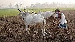फोटो: सोशल मीडिया&nbsp;