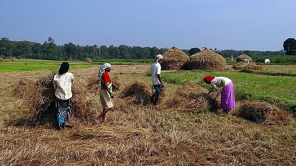 फोटो: सोशल मीडिया&nbsp;