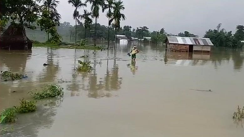 फोटो: सोशल मीडिया&nbsp;