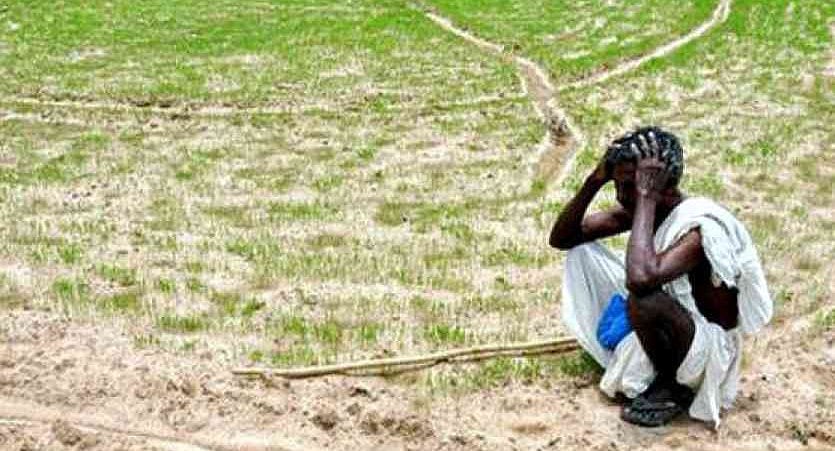 बिहार: कम बारिश से धान और मक्के की खेती पर असर, खेत सूखने से किसान हताश 