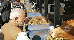 रवांडा में पीएम मोदी के गोदान से क्या हासिल होगा?