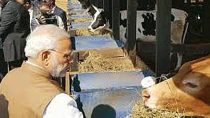 फोटो: सोशल मीडिया&nbsp;
