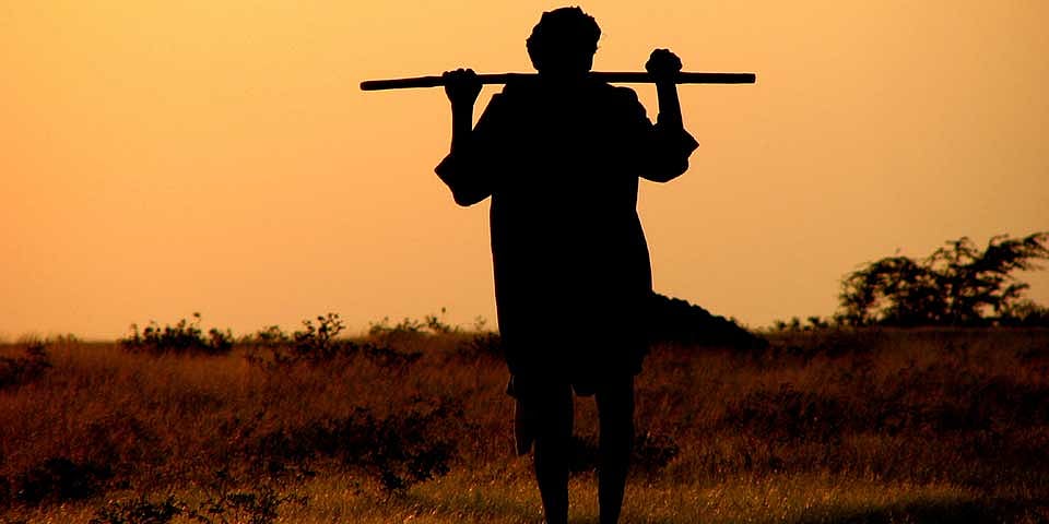 शिव‘राज’ में नहीं थम रहा किसानों की खुदकुशी का सिलसिला, एक और किसान ने जहर खाकर दी जान