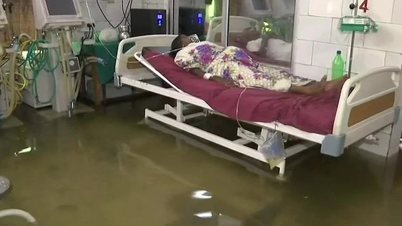 फोटो:&nbsp; सोशल मीडिया