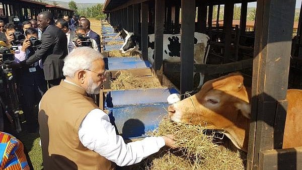 फोटो: सोशल मीडिया 
