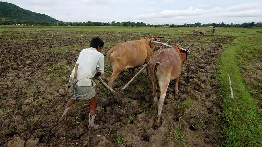 फोटोः आईएएनएस
