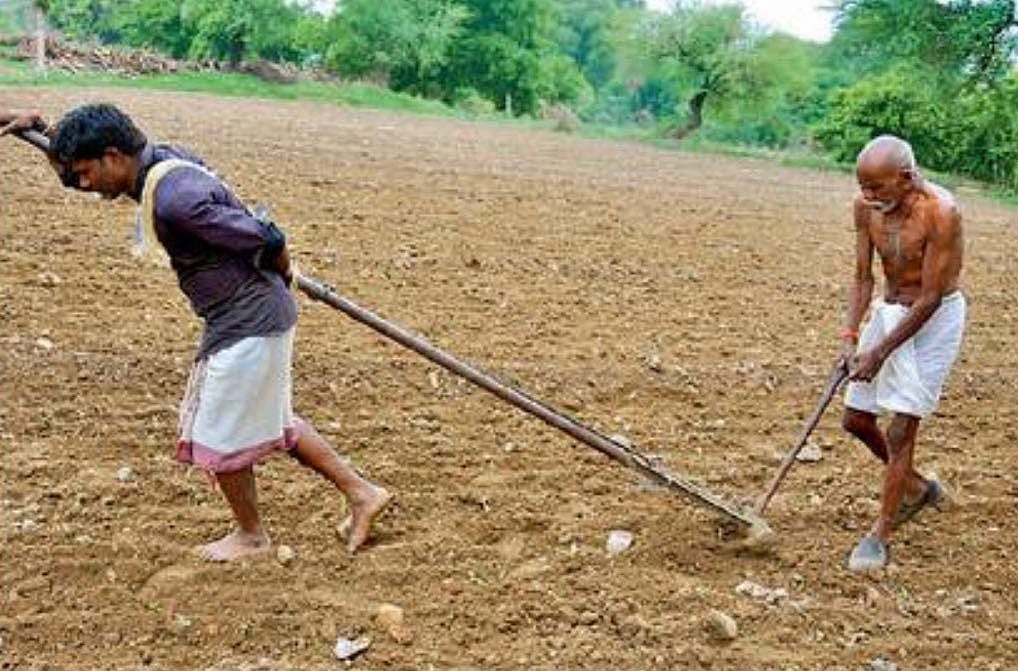 मध्य प्रदेश: शिवराज सरकार में किसानों का हाल, बेटा बना बैल तो बूढ़े पिता ने जोता खेत