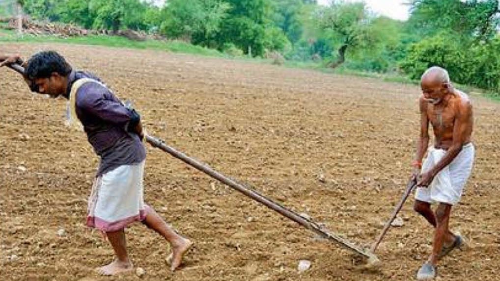 फोटोः सोशल मीडिया